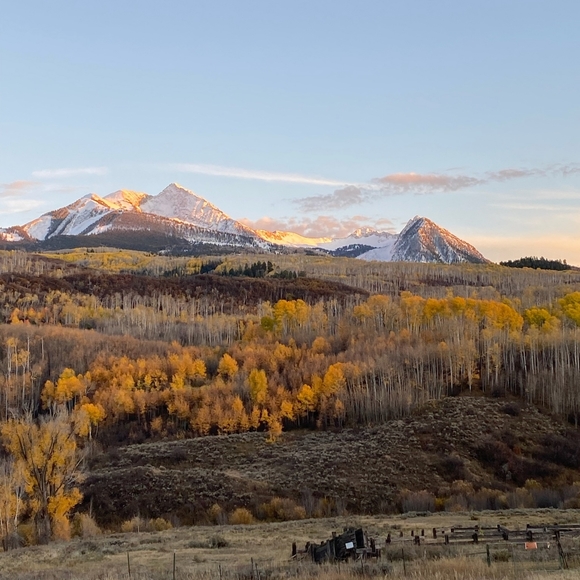 My Live Listing. Come Join Me. - Picture 4 of 5